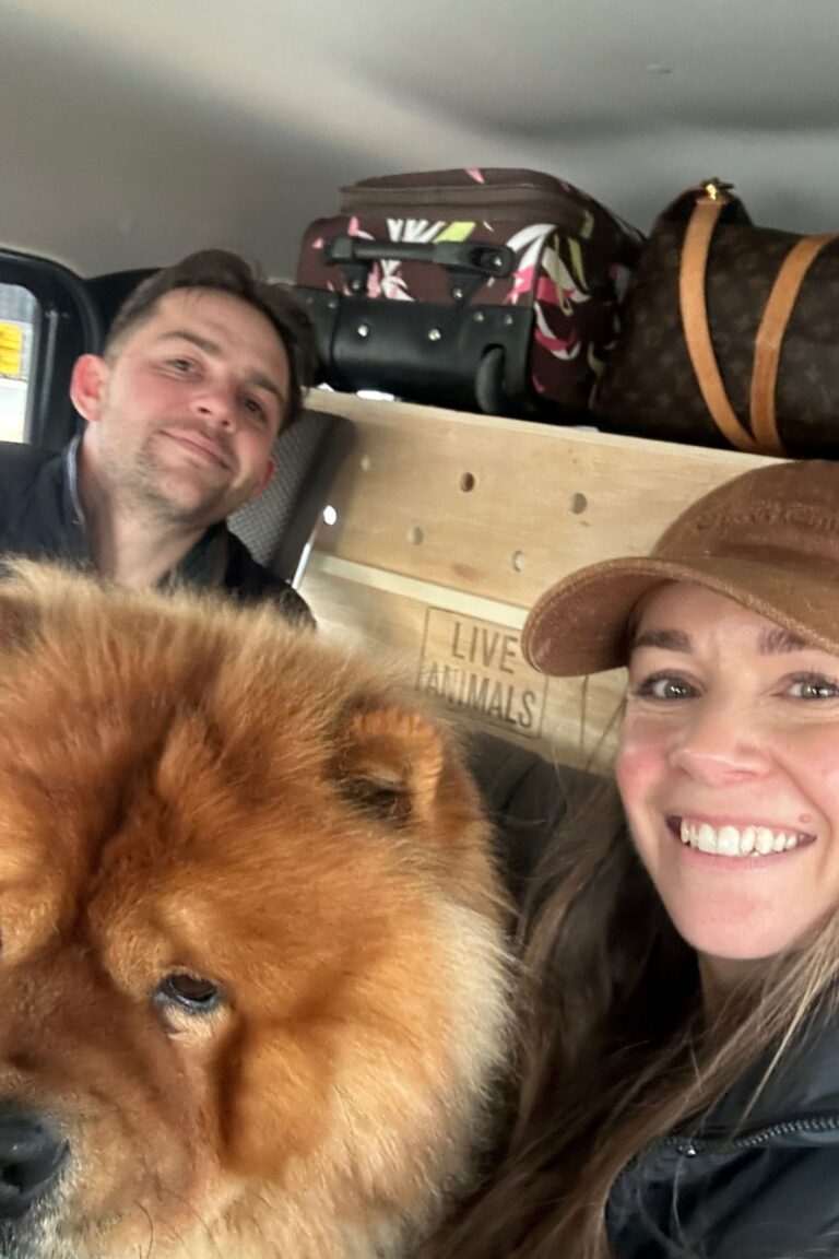 How We Moved Our Dog From The UK To Japan