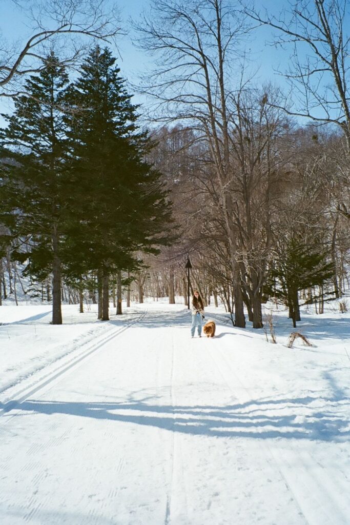 Sapporo 3 day itinerary winter
