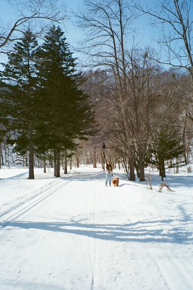 Sapporo 3 Day Itinerary For A Winter Visit