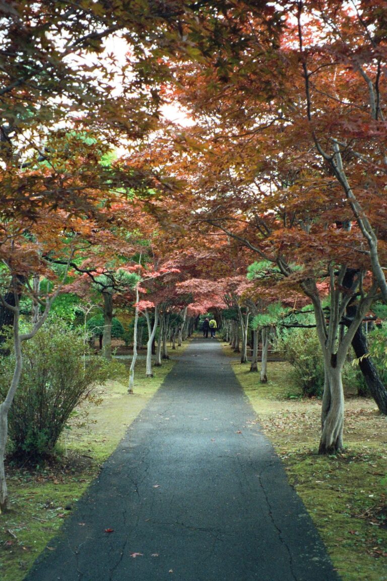 Best Time To Visit Sapporo Japan – Ranked By The Month