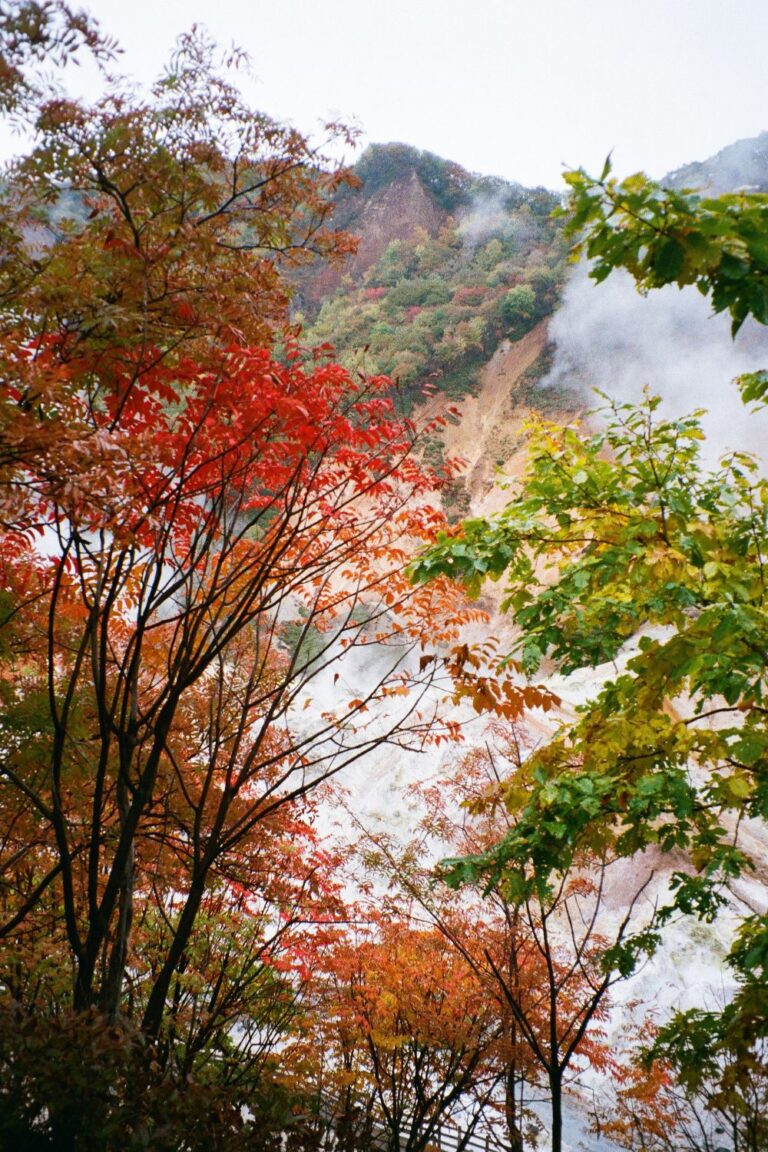 11 Incredible Day Trips From Sapporo