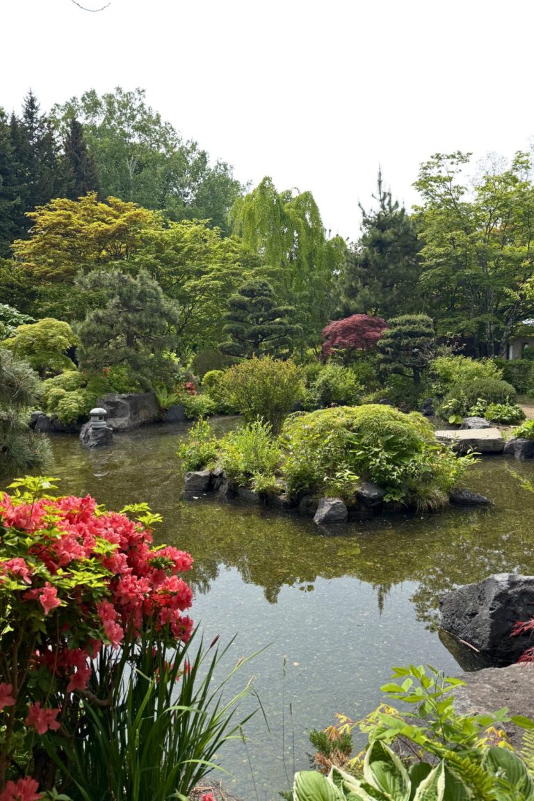 The Ultimate 7 Days Sapporo Itinerary – By A Local