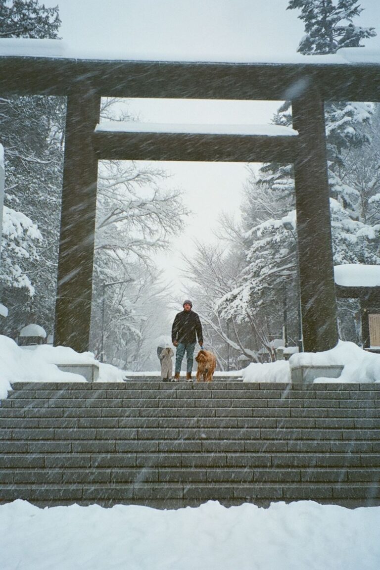 17 Things To Do In Sapporo In The Winter