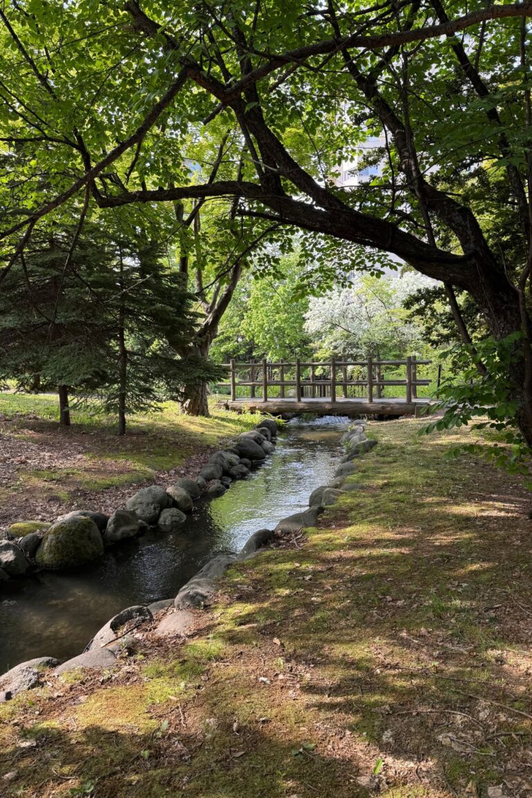 Sapporo Itinerary 5 days – Designed For Any Season