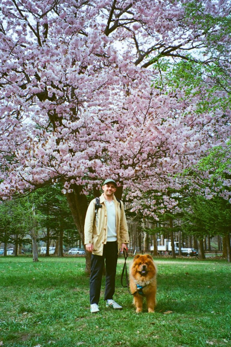 11 Sapporo Cherry Blossom Spots That Are The Best