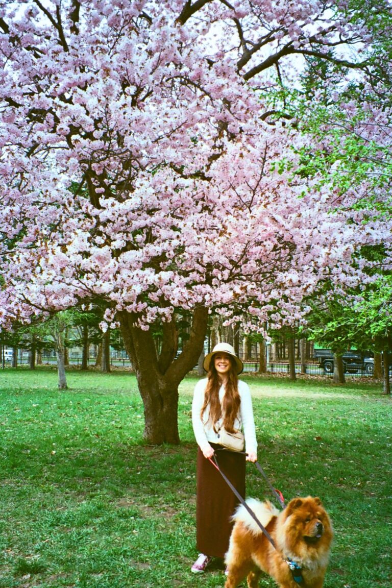 All The Sapporo Flower Festivals You Need To Know About