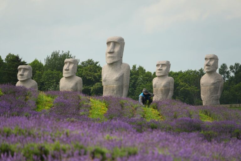 21 Things To Do In Sapporo With Kids
